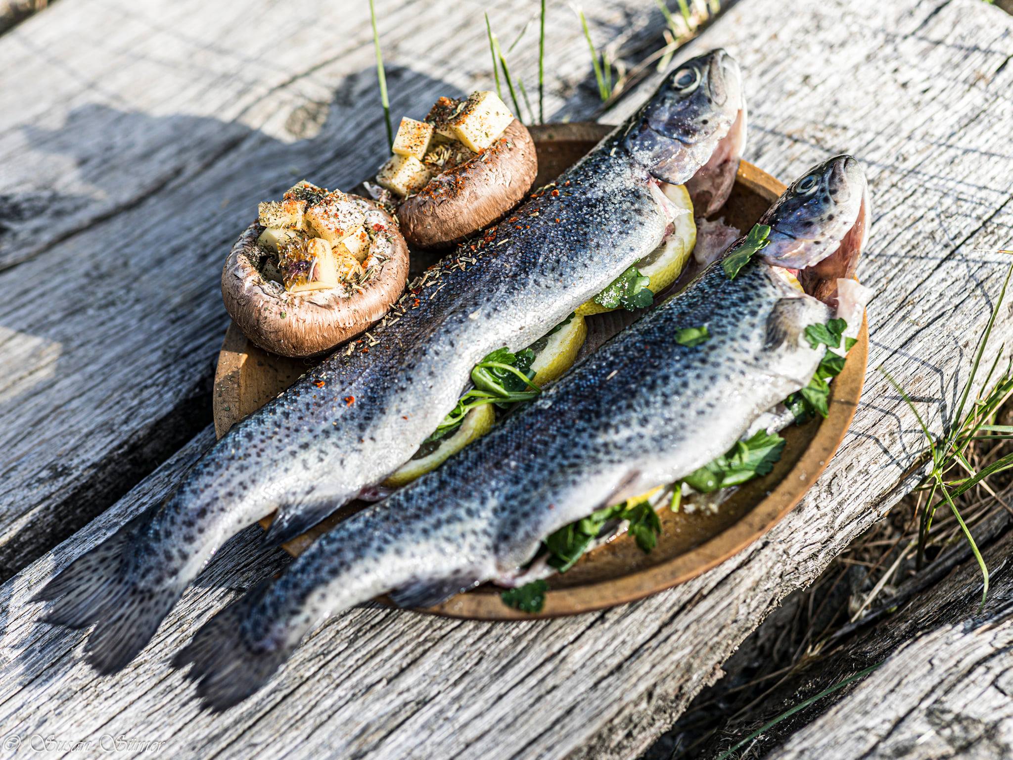 Sonderthema "Fisch"
