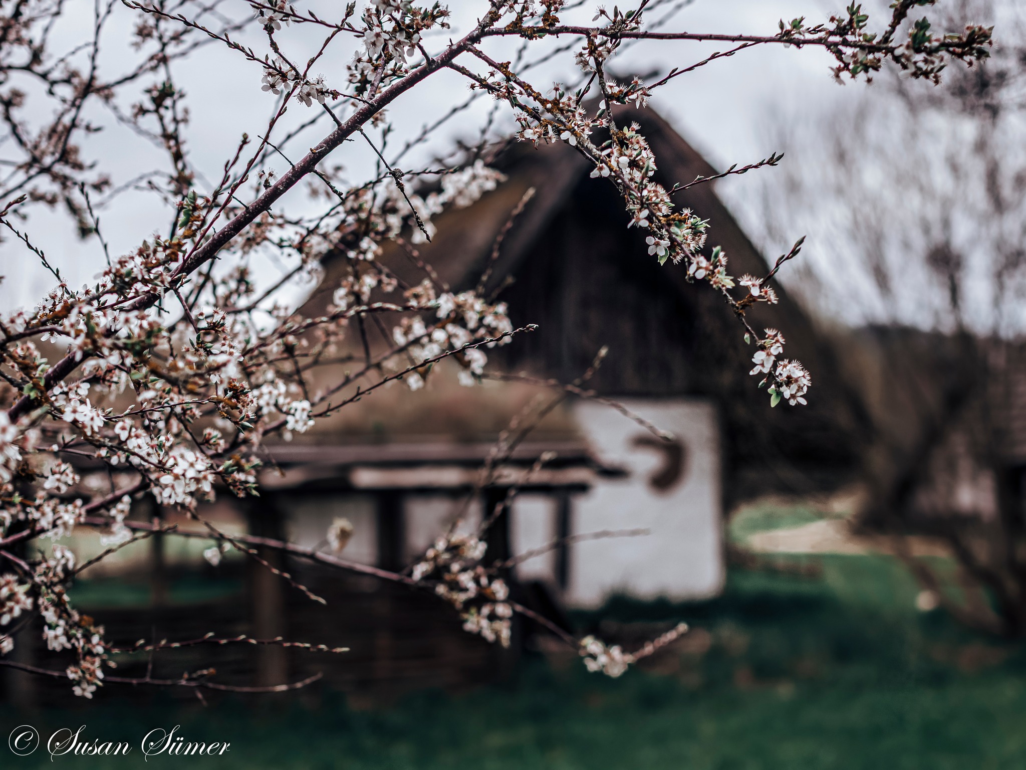 Offizieller Saisonbeginn